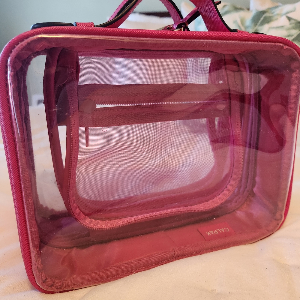 Calpak Clear Cosmetics Case In Medium